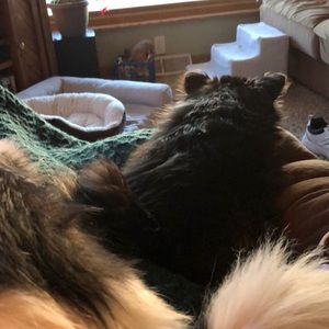 Meet your Posher, Deb